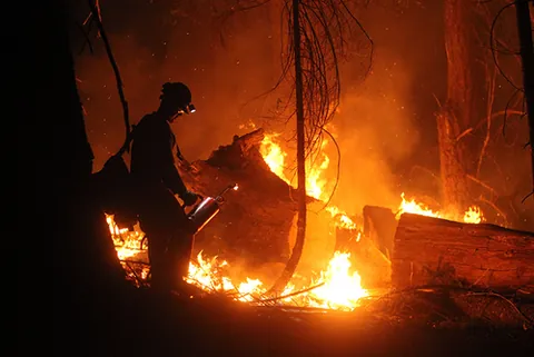 gigafire: a wildfire which burns more than one million acres