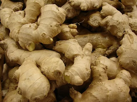 ginger: the pungent aromatic rhizome of a tropical Asian herb, Zingiber officinale, used as a spice and as...