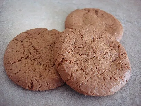 gingersnap: a type of biscuit or cookie made from dough seasoned with ginger