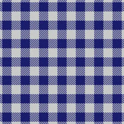gingham: a cotton fabric made from dyed and white yarn woven in checks