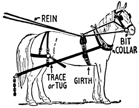 girth: a band passed under the belly of an animal, which holds a saddle or a harness saddle in place