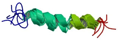 glucagon: a peptide hormone, produced by the pancreas, that opposes the action of insulin by stimulating the...