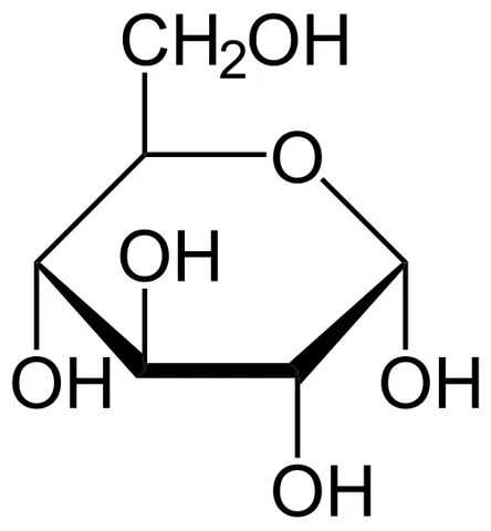 glucose: a simple monosaccharide (sugar) with a molecular formula of C₆H₁₂O₆; a principle source of energy...