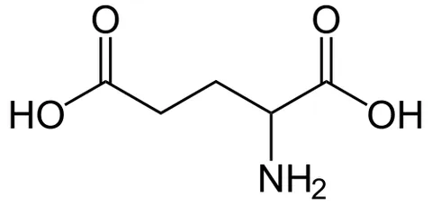 glutamic acid: a nonessential amino acid, α-amino-glutaric acid, occurring widely in animal and plant tissues; the...