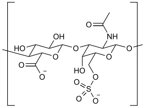 glycosaminoglycan: any polysaccharide that is a polymer of amino sugars; they are the carbohydrate units of...