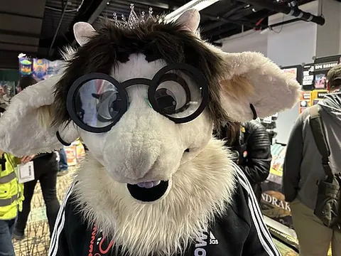 goatsona: a fursona that is a goat