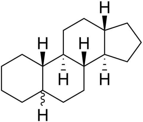 gonane: a tetracyclic hydrocarbon framework made of three fused six-membered rings and one five-membered...
