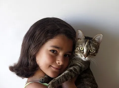 grandcat: a cat owned by one's child (especially when the latter is adult); a cat having a status comparable...