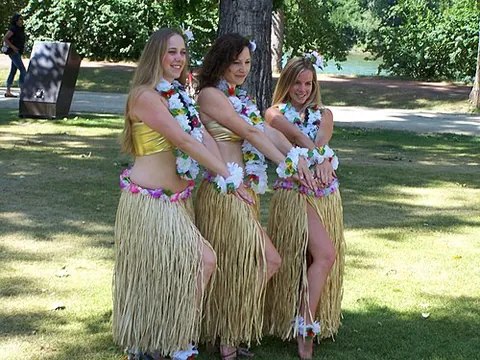 grass skirt: a skirt made from long dried grass, or synthetic material resembling it