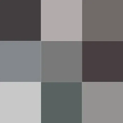 gray: of a color between black and white, having neutral hue and intermediate brightness