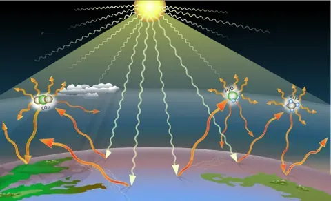 greenhouse gas: any gas (such as carbon dioxide, a chlorofluorocarbon (CFC), or methane) that contributes to the...