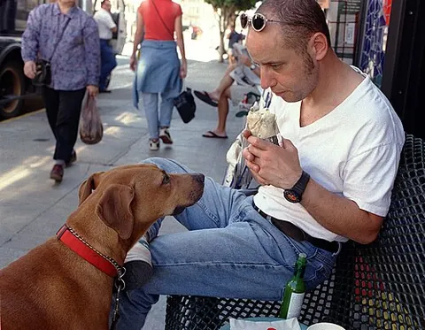 groak: to stare or look fixedly at someone; esp. of a child or dog in anticipation of receiving food