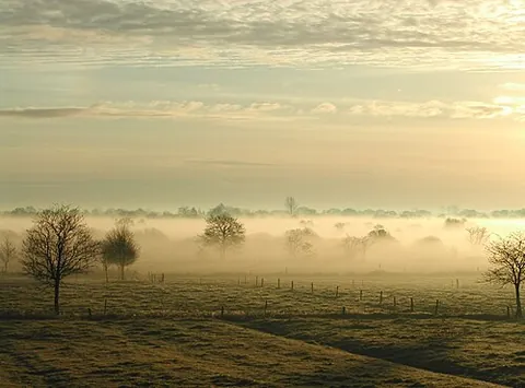 ground fog: a low-lying fog extending only a few feet above ground