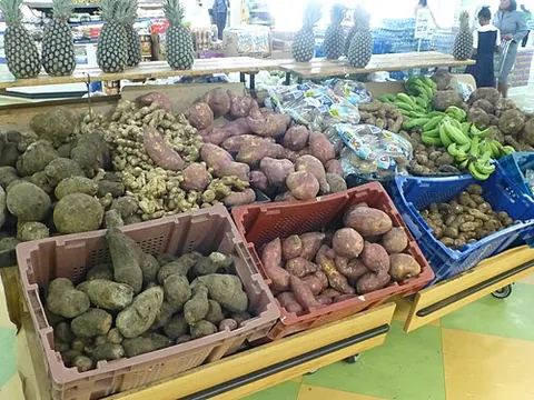 ground provisions: starchy staple vegetables grown in the ground such as yam, taro, cassava and sweet potato