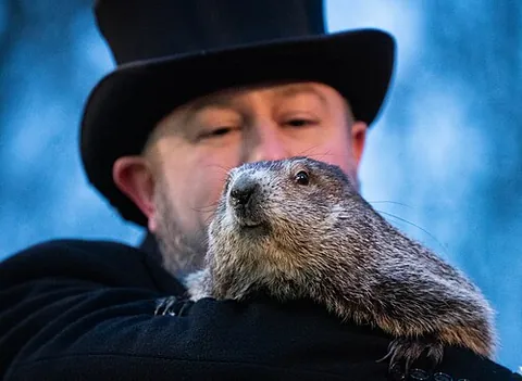 groundhogese: a supposed language in which groundhogs and humans can communicate with each other