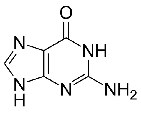 guanine: a substance first obtained from guano; it is a nucleic base and pairs with cytosine in DNA and RNA...