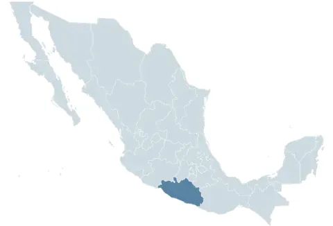 guerrero: a surname from Spanish