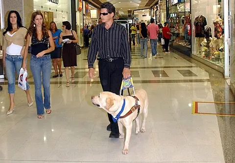 guide dog: a dog that is trained to be of assistance to a visually impaired or hearing-impaired person and is...