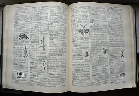 guideword: a word or phrase that serves as one's guide
