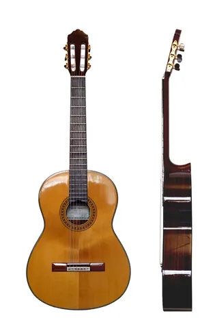 guitar: a stringed musical instrument, of European origin, usually with a fretted fingerboard and six...