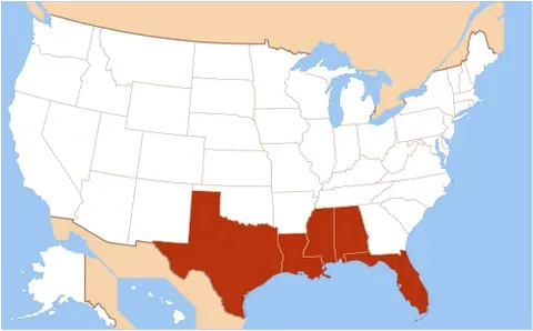 gulf coast: the coastline along the Southern United States where it meets the Gulf of Mexico
