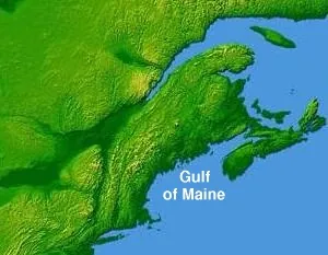 gulf of maine: a bay of the Atlantic, an embayment on the coast of New England, United States, that separates the...
