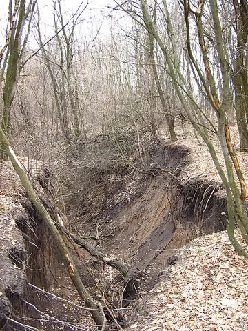 gully: a trench, ravine or narrow channel which was worn by water flow, especially on a hillside