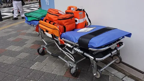 gurney: a stretcher having wheeled legs