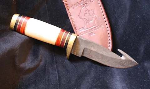 gut hook: a hook on the back of a knife blade, used for skinning or removing the organs of a dead animal