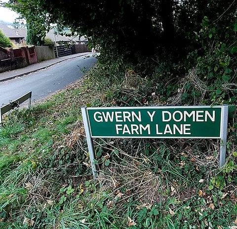 gwern-y-domen: a locality in Van community, Caerphilly borough county borough, Wales (OS grid ref ST1787)