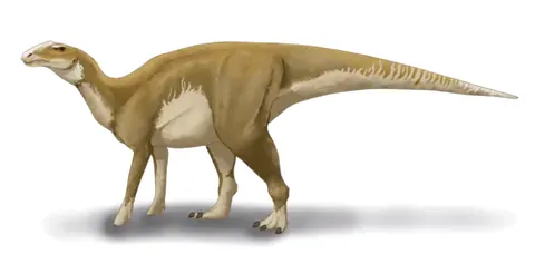 hadrosaur: any ornithopod dinosaur of the family Hadrosauridae