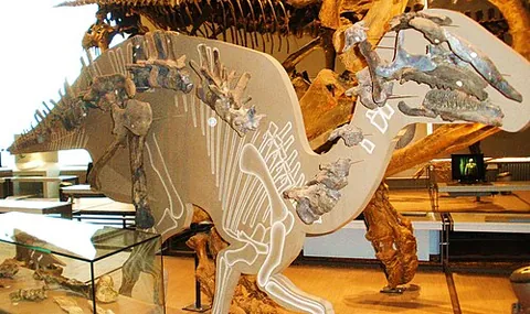 hadrosauromorph: any ornithopod of the clade Hadrosauromorpha