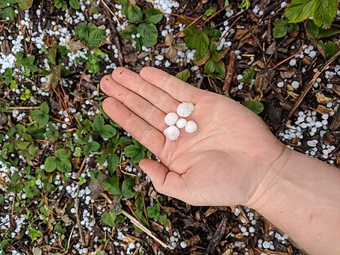 hail: balls or pieces of ice falling as precipitation, often in connection with a thunderstorm