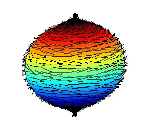 hairy ball theorem: a theorem stating that there is no nonvanishing continuous tangent vector field on the sphere;...