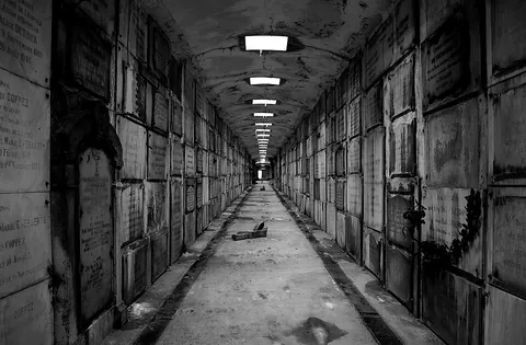 hallway: a corridor in a building that connects rooms