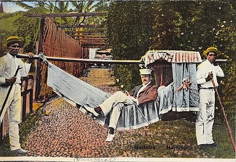 hammock litter: a form of litter consisting of a wide cloth suspended at each end from a pole carried by porters...