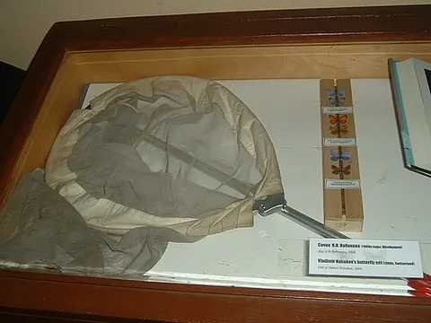 hand net: a small net that is equipped with a handle and attached to a rim so that the net forms a pouch,...