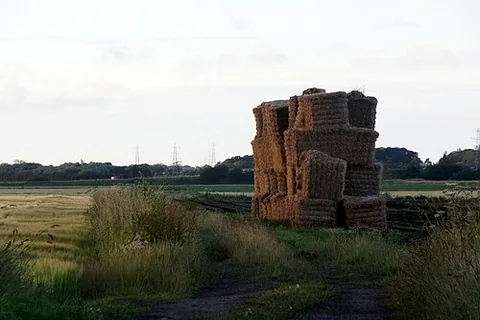 haybale: a bale of hay