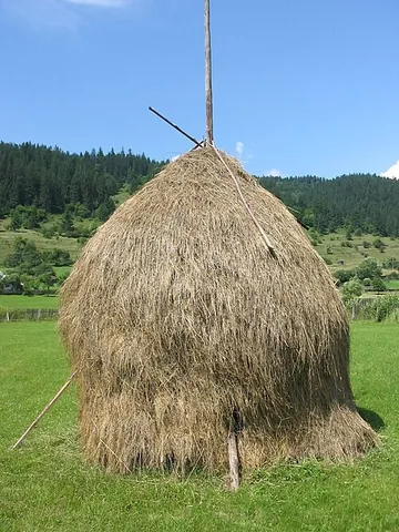haystack: a mound, pile, or stack of stored hay