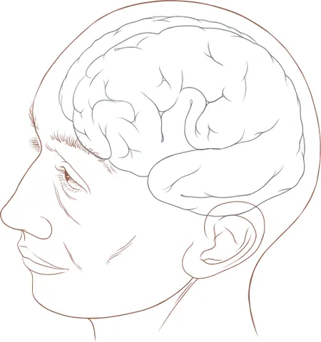 head: the part of the body of an animal or human which contains the brain, mouth, and main sense organs