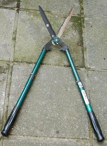 hedge clippers: synonym of hedge trimmer
