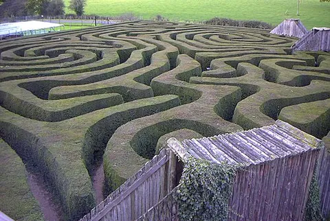 hedge maze: an outdoor garden maze in which the walls between passages are made of vertical hedges