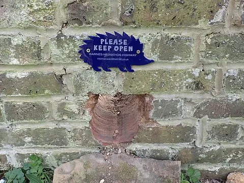 hedgehog highway: a gap in a garden fence or hedgerow allowing hedgehogs to pass between gardens