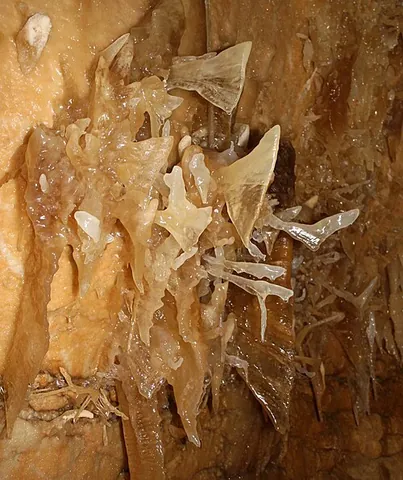 helictite: a speleothem found in limestone caves that changes its axis from the vertical at one or more stages...