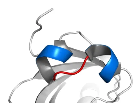 helix-loop-helix: a structural motif where two alpha helices are connected by a highly flexible amino acid loop,...