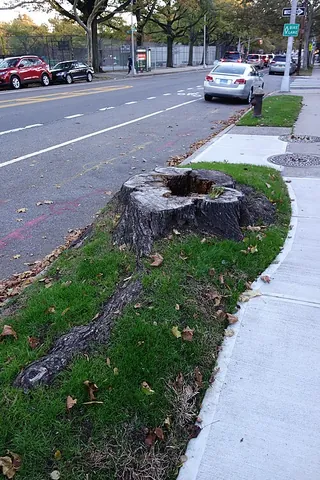 hellstrip: a strip of land between a sidewalk and a street