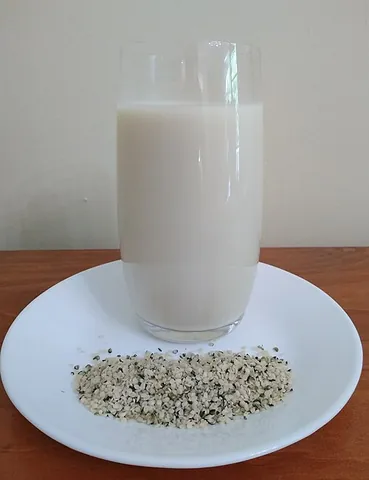 hemp milk: a milky liquid made from hemp and used as a milk substitute, cooking ingredient or beverage