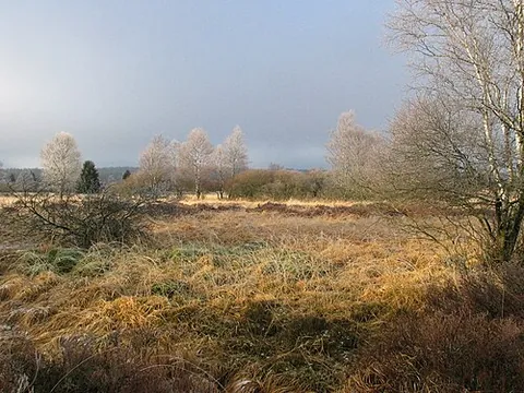 high fens: a boggy region in eastern Belgium and western Germany