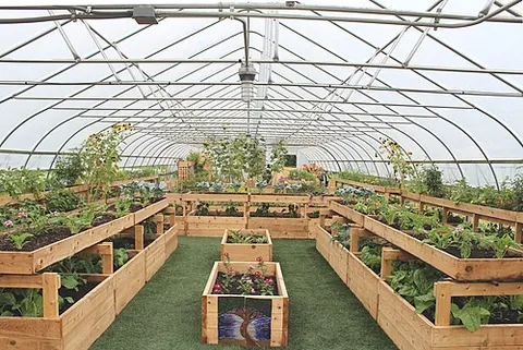 high tunnel: synonym of hoop house
