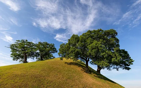 hillock: a small hill